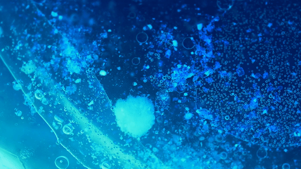 bio 2
